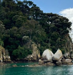 Abel Tasman Split Apple Rock RM17NOV25