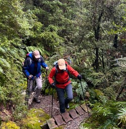 AorakiMount Cook National Park forest M03MAR25