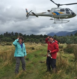 Helicopter into Martins Bay