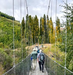 Arrowtown swing bridge G10MAR25