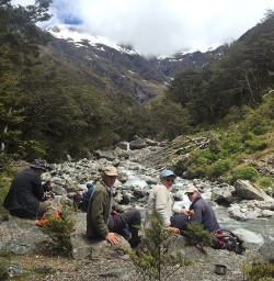 Lunchbreak Hiking Arthurs Pass