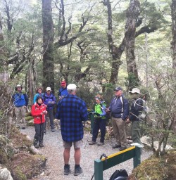 Learning about wildlife conservation in Arthurs Pass