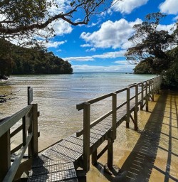 Beach Stewart Island GW23FEB25