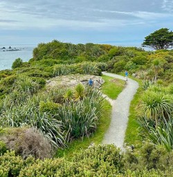 Cape Foulwind walkway Tauranga M24MAR25