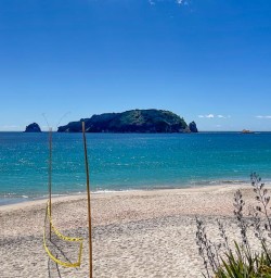 Cathedral Cove 04MAR26
