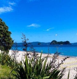 Cathedral Cove beach 04FEB25