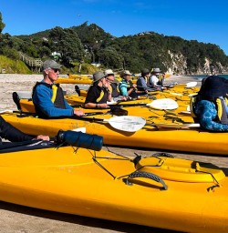 Cathedral Cove kayaking tour 04MAR26