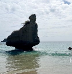 Cathedral Cove rock 280125