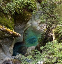 Clear water on the Routeburn Track