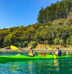 Couple kayaking waters edge queen charlotte sound HR