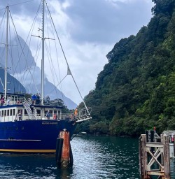 Cruise Milford Sound 17FEB25