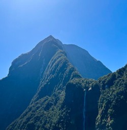 Cruise Milford Sound GW09JAN25