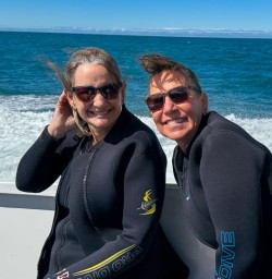 Dolphins tour Kaikoura K10MAR25