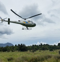 Fiordland Helicopter Flight
