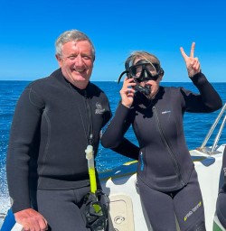 Dusky Dolphin experience in Kaikoura K03MAR25