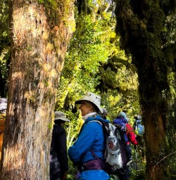 Egmont National Park 03MAR25