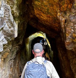 Explore Karangahake Gorge 18FEB25