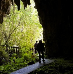 Explore Waitomo Caves 04FEB25