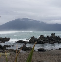 Fiordland Coastline