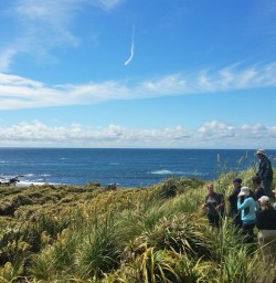 The Fiordland Coast