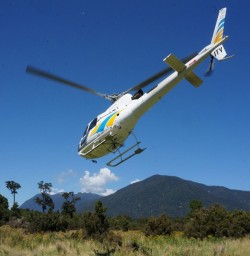 Fiordland Helicopter