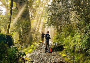 Hiking Fiordland National Park.