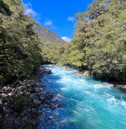 Fiordland National Park blue water MP10NOV25