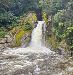 Giants Gate Milford Track GW23FEB25