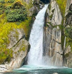 Giants gate Milford Track 25FEB25