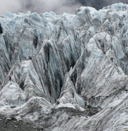 Fox Glacier