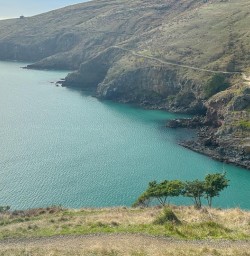 Godley Head Christchurch M17MAR25