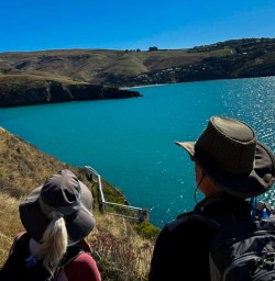 Godley Heads guided hiking tour R03MAR25