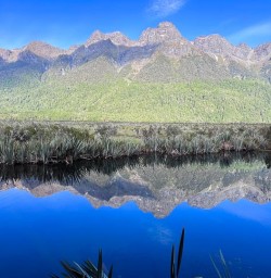 Guests exploring Fiordland National Park 060125 3
