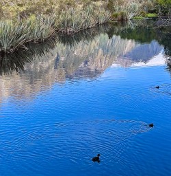 Guests exploring Fiordland National Park 060125 4