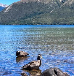 Guests exploring Nelson Lakes National Park 060125 2