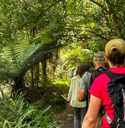 Guests hiking in Karangahake Gorge 210125 12
