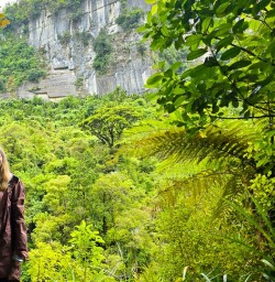 Guests hiking in Paparoa National Park 060125 3