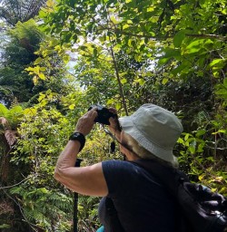 Guests hiking in Paparoa National Park 060125 3