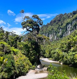 Guests hiking in Paparoa National Park 060125 4