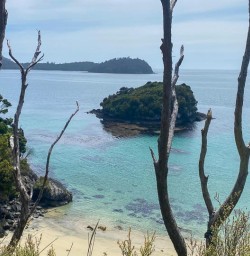 Guests on their Stewart Island Adventure 170125 4