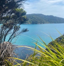 Guests on their Stewart Island Adventure 170125 5