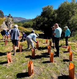 Guests planting trees in Arrowtown 060125 1