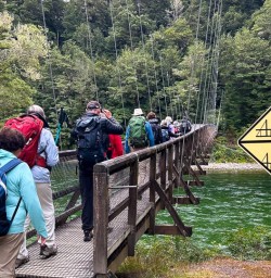 Guided hiking the Routeburn Track GW09JAN25