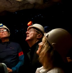 Guided tour Waitomo Caves 25FEB25
