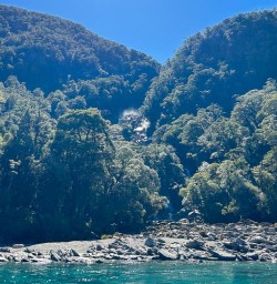 Haast River K03MAR25
