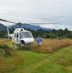 Helicopter drop off at Martins Bay