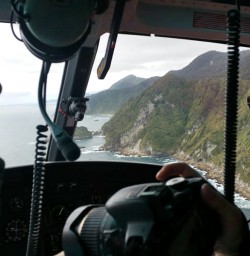 Scenic Flight to Martins Bay