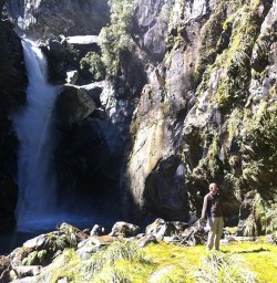 Hidden Falls Hollyford Track