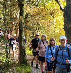 Hike Egmont National Park 03FEB25