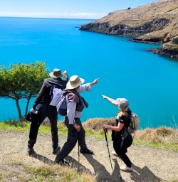 Hike Godley Head M10MAR25